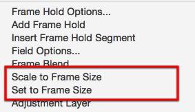 Ridimensiona o imposta le dimensioni del fotogramma per ridimensionare il video in Adobe Premiere