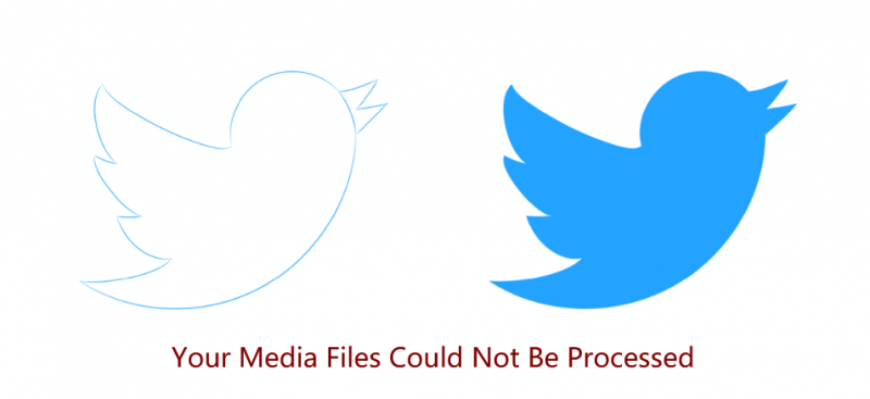 Twitter Impossibile elaborare il file multimediale