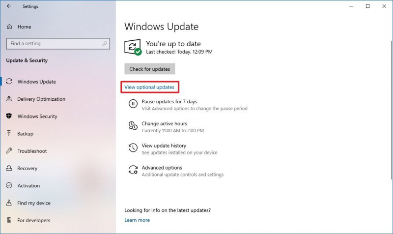 Aggiorna i driver USB tramite le impostazioni di Windows Update per riparare un'unità flash danneggiata senza formattare