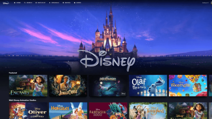 Film Disney Plus su laptop